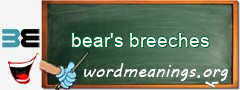WordMeaning blackboard for bear's breeches